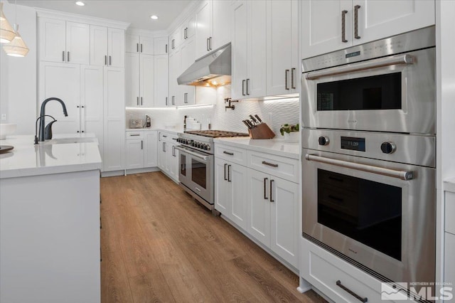 20765 Parc Foret Dr, Reno, NV 89511 - kitchen featuring appliances with stainless steel finishes, a sink, under cabinet range hood, recessed lighting, and light wood finished floors