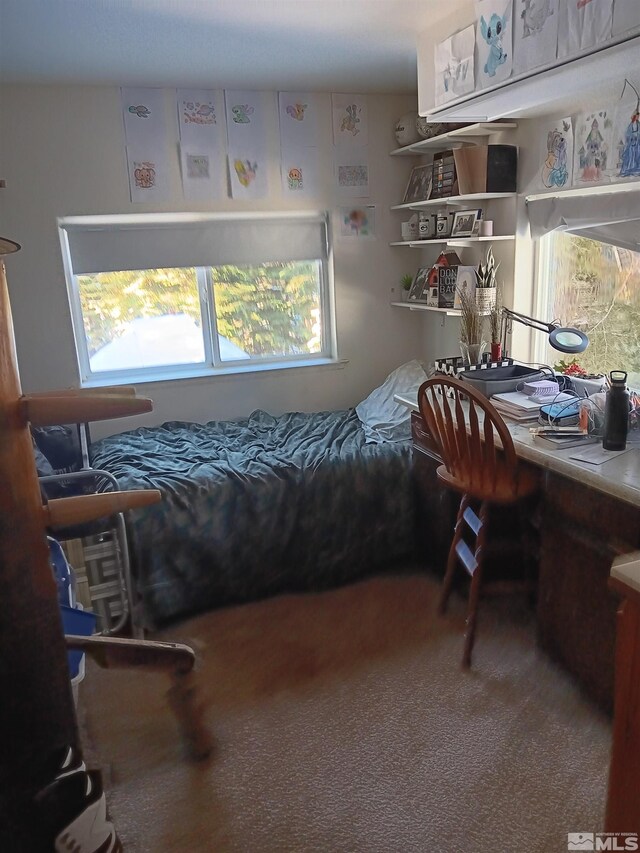 1589 Cree St, South Lake Tahoe, CA 96150 - bedroom featuring an office area and carpet floors