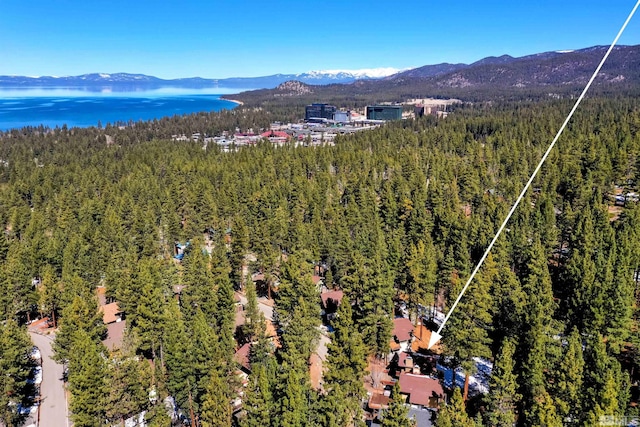 3390 Pine Hill Rd, South Lake Tahoe, CA 96150 - photo 21