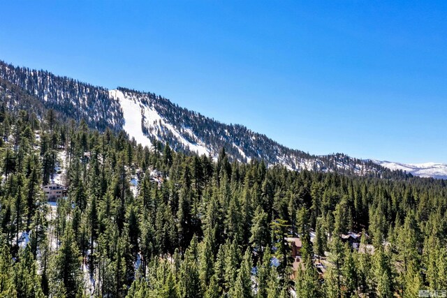 3390 Pine Hill Rd, South Lake Tahoe, CA 96150 - photo 23