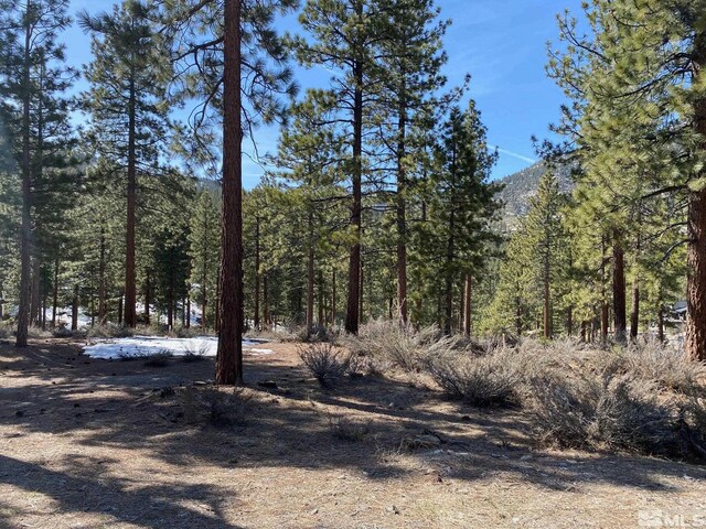 156 Walton Toll Rd, Carson City, NV 89705