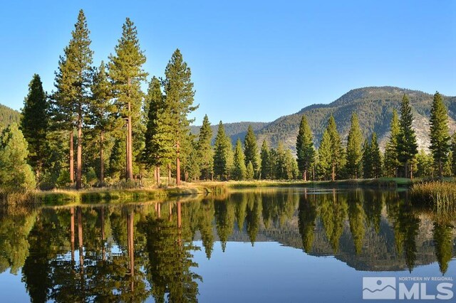 156 Walton Toll Rd, Carson City, NV 89705