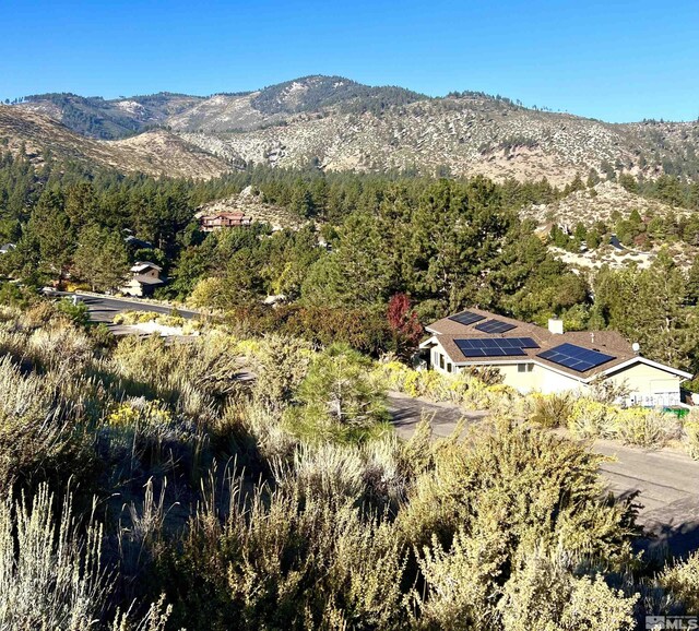 3733 Buckskin, Carson City, NV 89703 - photo 4
