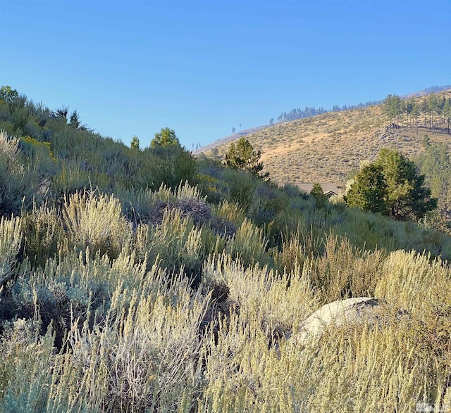 3733 Buckskin, Carson City, NV 89703 - photo 6