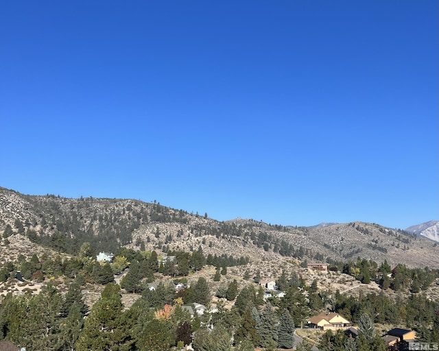 3733 Buckskin, Carson City, NV 89703 - photo 7