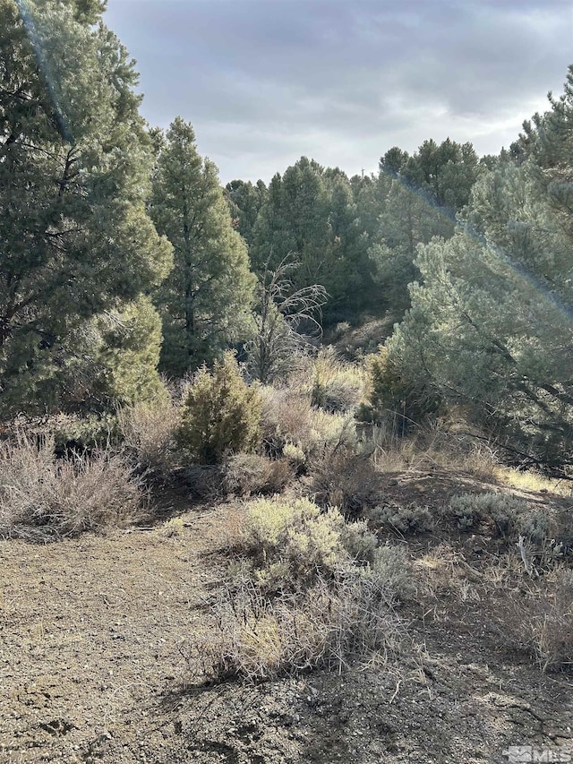 1825 Empire Rd, Virginia City, NV 89521 - photo 2