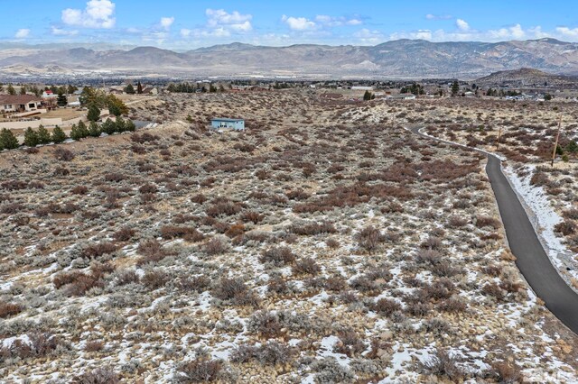 Mountain Daisy Road, Reno, NV 89511 - photo 8
