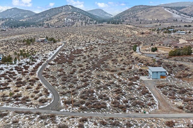 Mountain Daisy Road, Reno, NV 89511 - photo 11