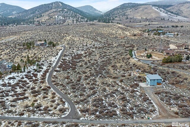 Mountain Daisy Road, Reno, NV 89511 - photo 20