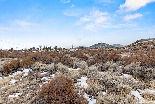Mountain Daisy Road, Reno, NV 89511 - photo 22