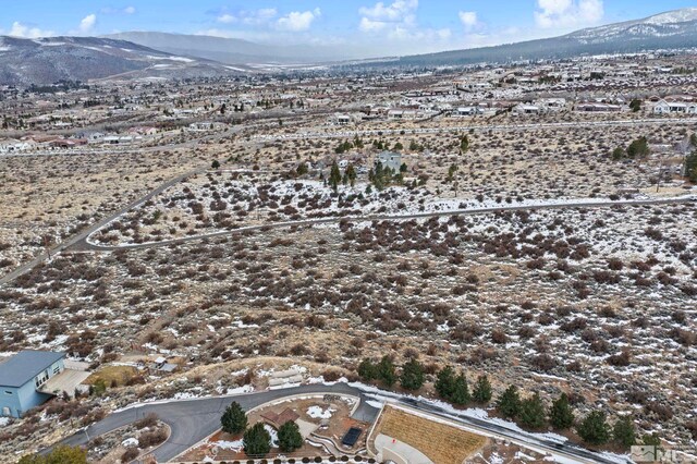 Mountain Daisy Road, Reno, NV 89511 - photo 24