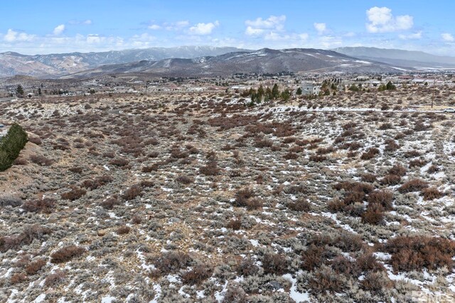 Mountain Daisy Road, Reno, NV 89511 - photo 26