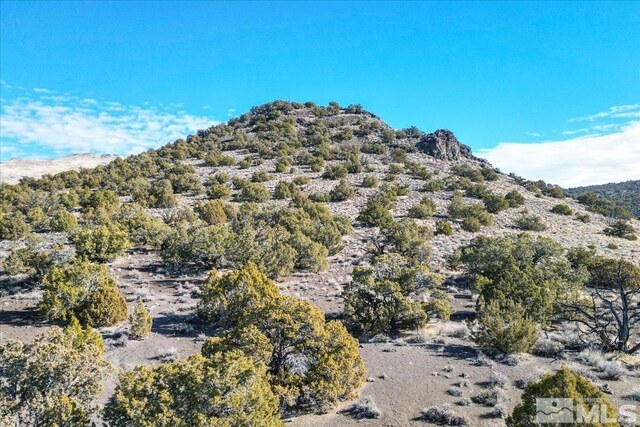 Ansari Ln, Reno, NV 89510