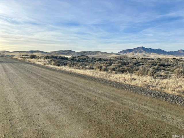 3885 Artemisia Way, Winnemucca, NV 89445 - photo 1