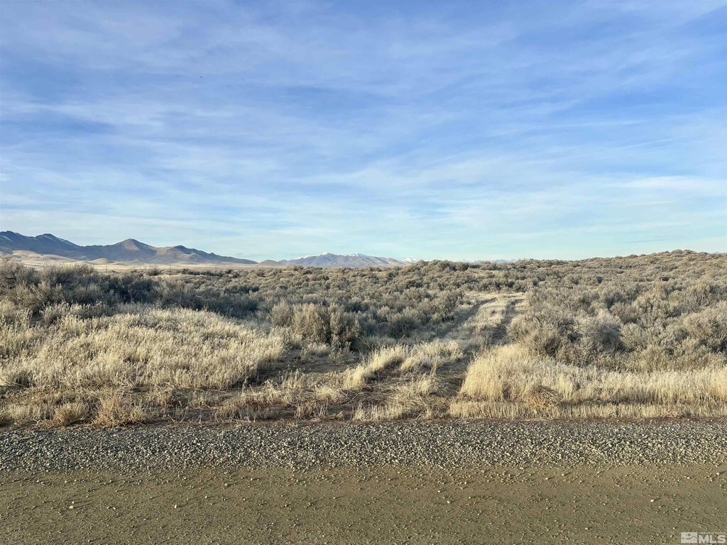 3885 Artemisia Way, Winnemucca, NV 89445 - photo 2