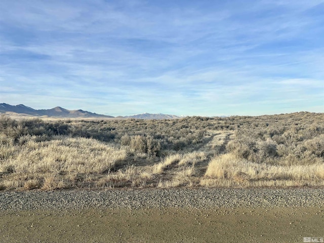 3885 Artemisia Way, Winnemucca, NV 89445 - photo 2