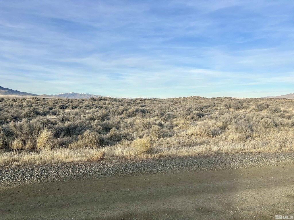3885 Artemisia Way, Winnemucca, NV 89445 - photo 3