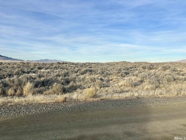 3885 Artemisia Way, Winnemucca, NV 89445 - photo 3