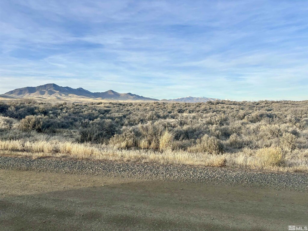 3885 Artemisia Way, Winnemucca, NV 89445 - photo 4