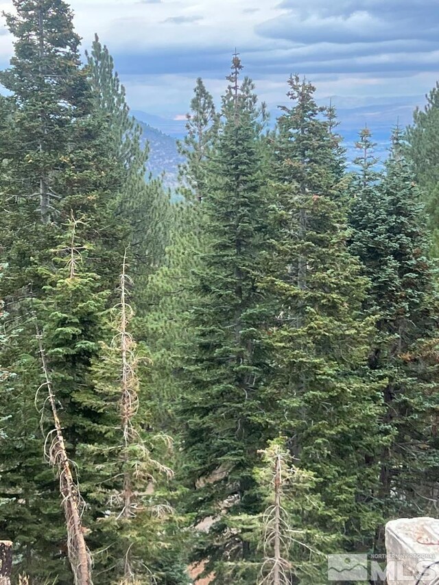 20980 Mount Rose Hwy, Reno, NV 89511