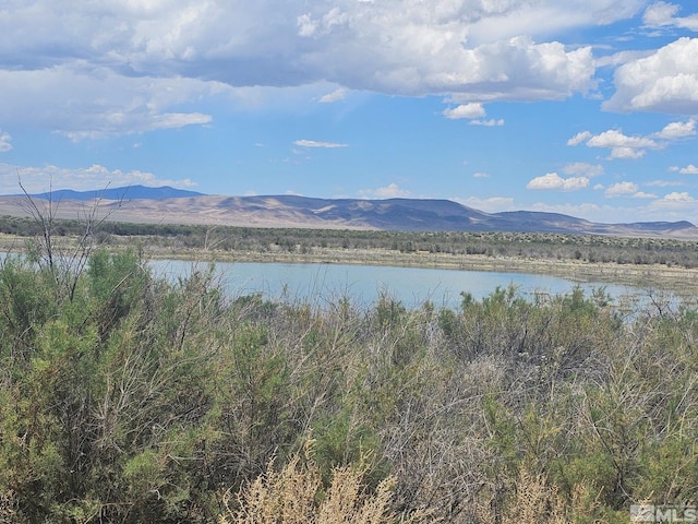 6360 Mustang Rd, Fallon, NV 89406 - photo 2