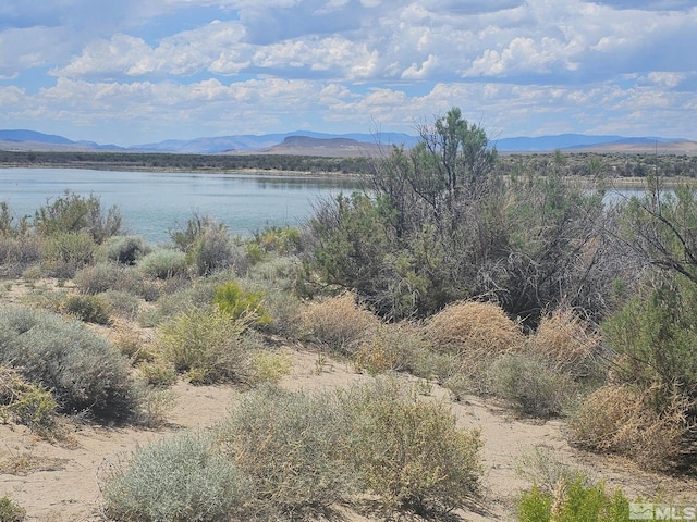 6360 Mustang Rd, Fallon, NV 89406 - photo 4