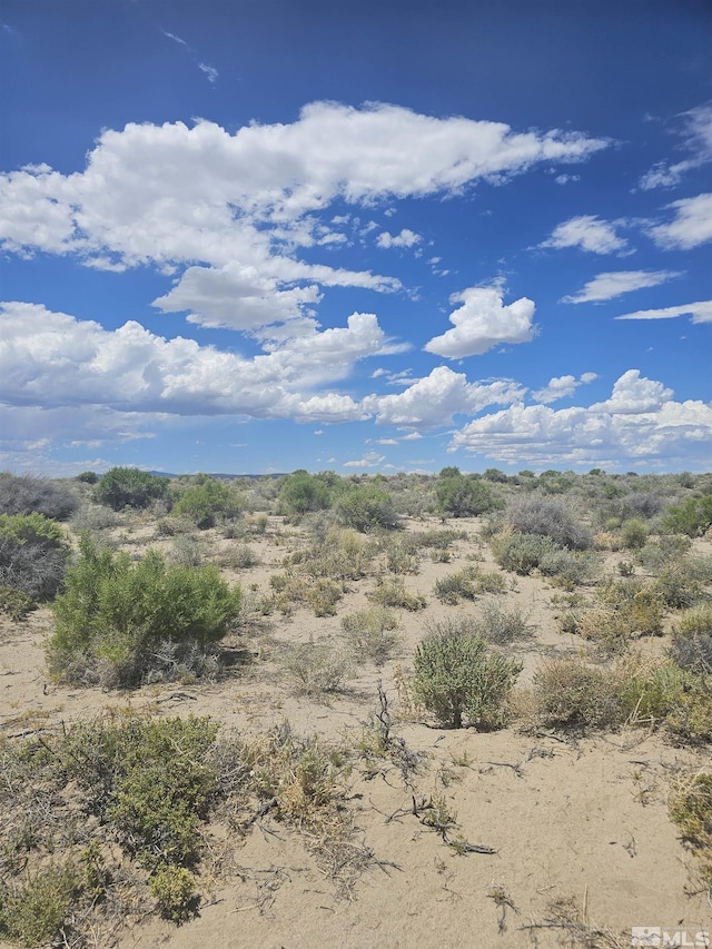 6360 Mustang Rd, Fallon, NV 89406 - photo 7