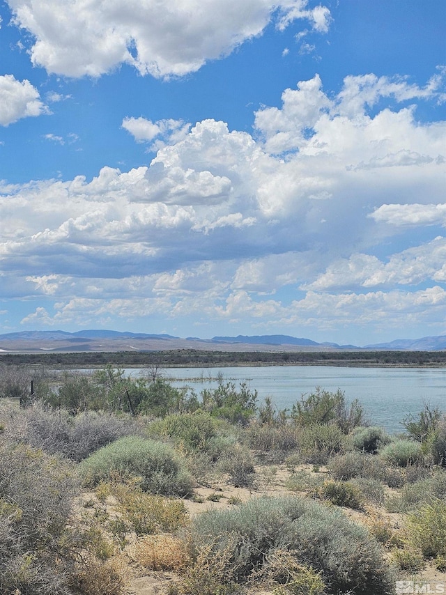 6360 Mustang Rd, Fallon, NV 89406 - photo 8