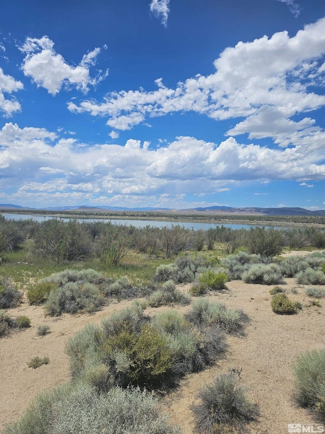 6360 Mustang Rd, Fallon, NV 89406 - photo 9