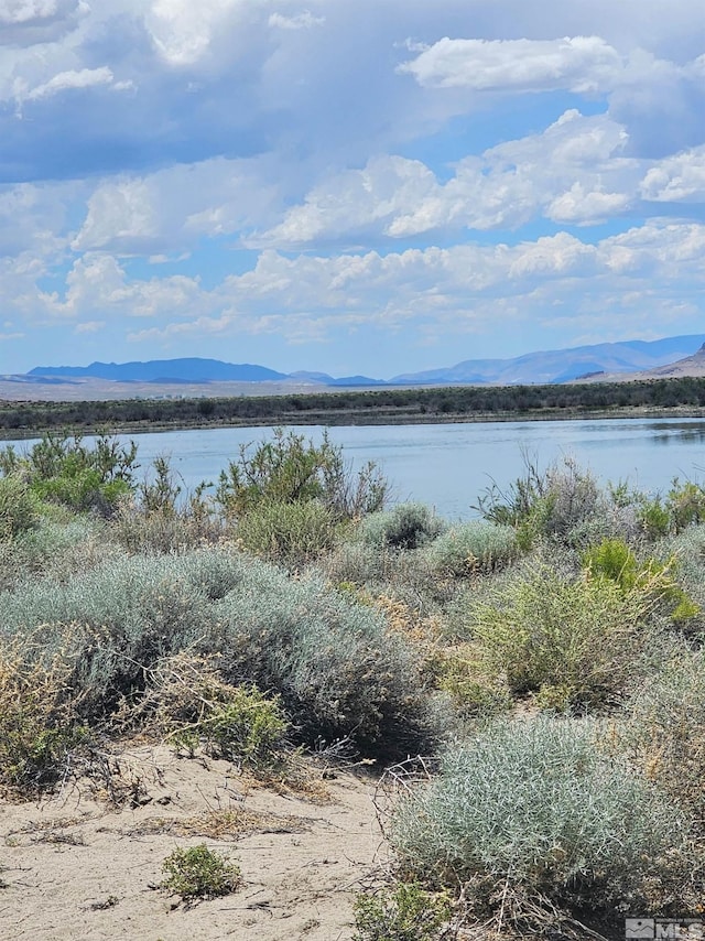 6360 Mustang Rd, Fallon, NV 89406 - photo 12