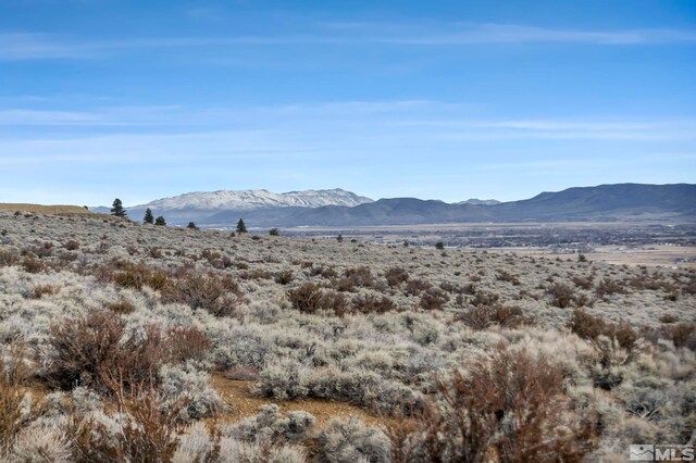 LOT10 Hawkins Peak Rd, Markleeville, CA 96120 - photo 3