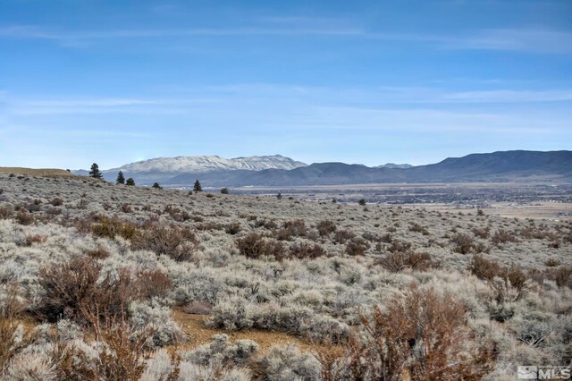 LOT10 Hawkins Peak Rd, Markleeville, CA 96120 - photo 5
