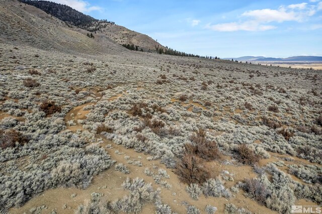 LOT10 Hawkins Peak Rd, Markleeville, CA 96120 - photo 9