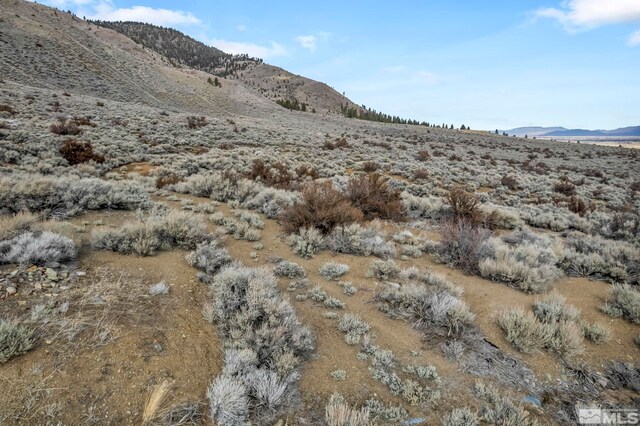 LOT10 Hawkins Peak Rd, Markleeville, CA 96120 - photo 10