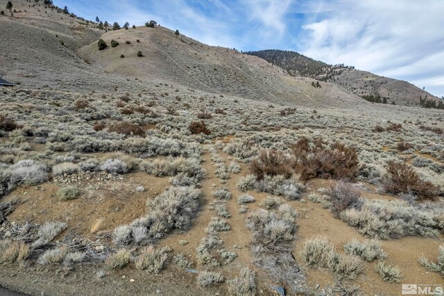 LOT10 Hawkins Peak Rd, Markleeville, CA 96120 - photo 11
