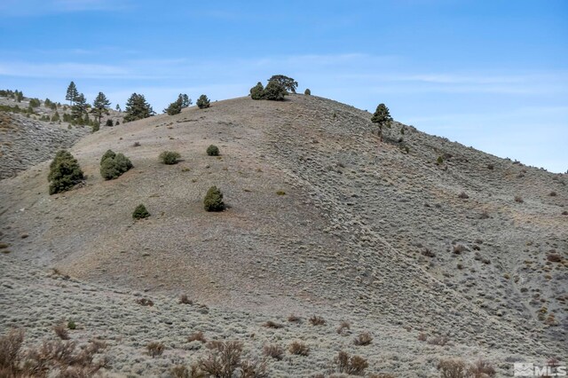 LOT10 Hawkins Peak Rd, Markleeville, CA 96120 - photo 14