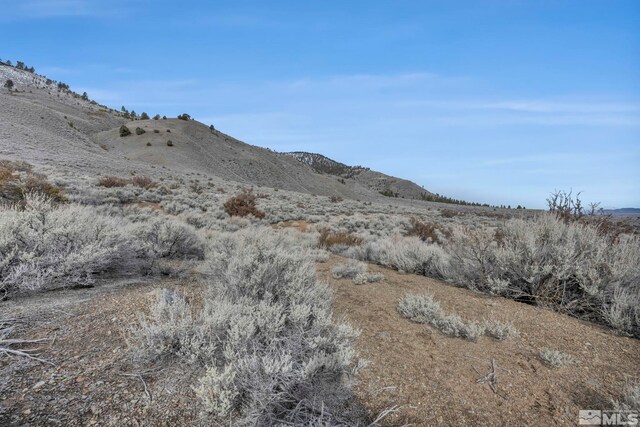 LOT10 Hawkins Peak Rd, Markleeville, CA 96120 - photo 27