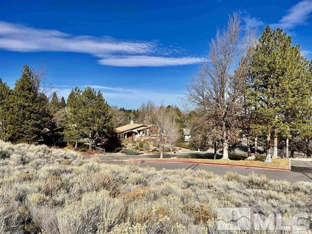 2790 Lakeridge, Reno, NV 89519 - photo 6