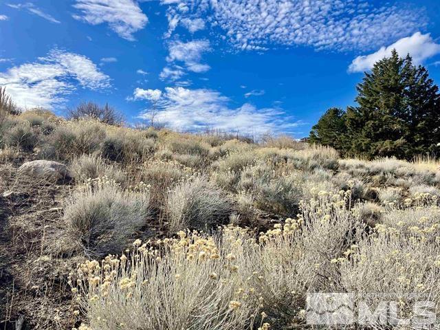 2790 Lakeridge, Reno, NV 89519 - photo 7
