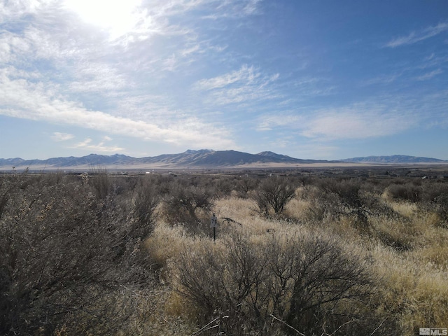 7610 Jean Way, Winnemucca, NV 89445 - photo 9