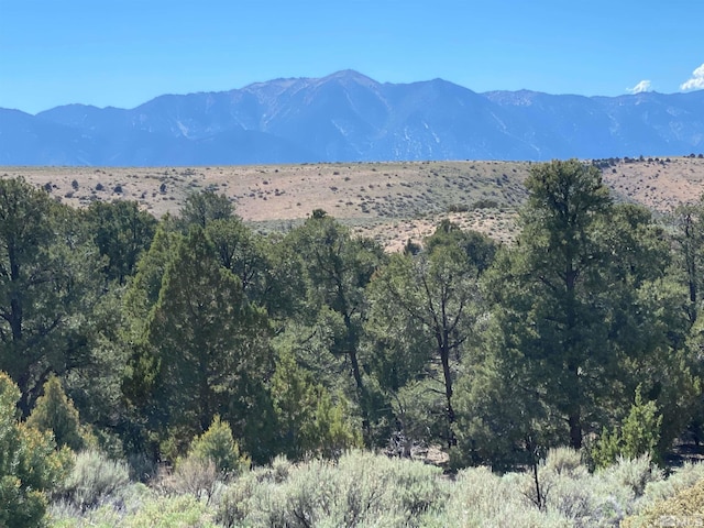 TBD China Springs E Unit 3, Gardnerville, NV 89410