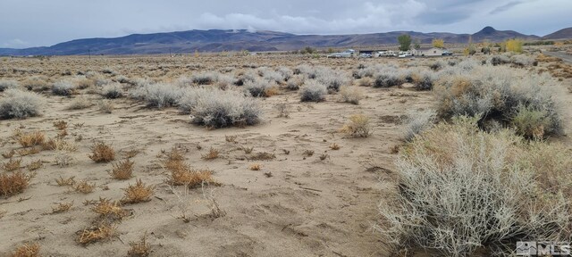 9450 Via Camino, Silver Springs, NV 89429 - photo 4