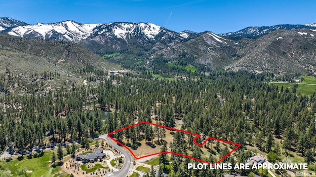 1 Pine Mesa Ct, Washoe Valley, NV 89704 - photo 2