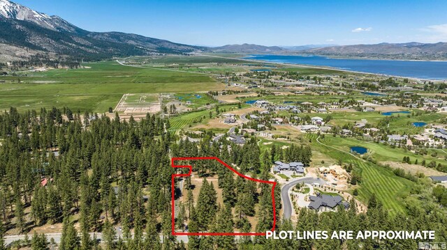 1 Pine Mesa Ct, Washoe Valley, NV 89704 - photo 3