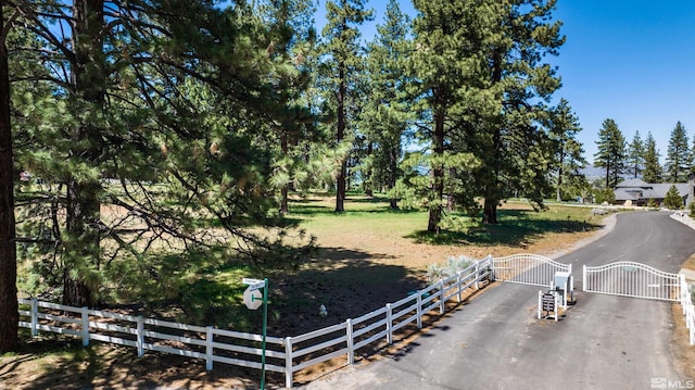 1 Pine Mesa Ct, Washoe Valley, NV 89704 - photo 4