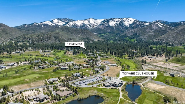 1 Pine Mesa Ct, Washoe Valley, NV 89704 - photo 5