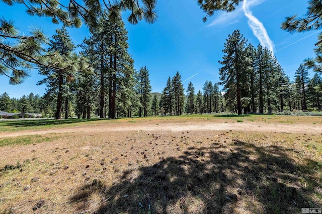 1 Pine Mesa Ct, Washoe Valley, NV 89704 - photo 6