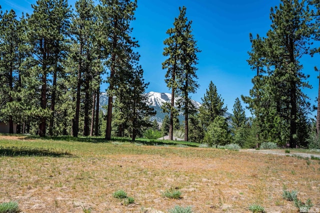 1 Pine Mesa Ct, Washoe Valley, NV 89704 - photo 7