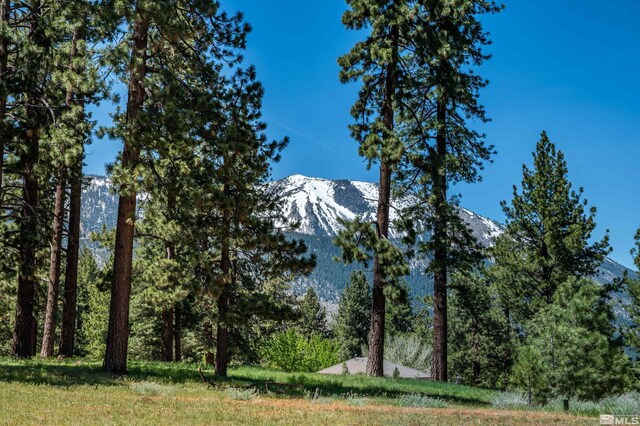 1 Pine Mesa Ct, Washoe Valley, NV 89704 - photo 8