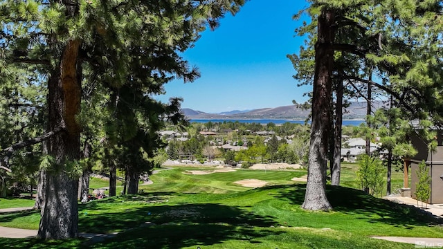 1 Pine Mesa Ct, Washoe Valley, NV 89704 - photo 9
